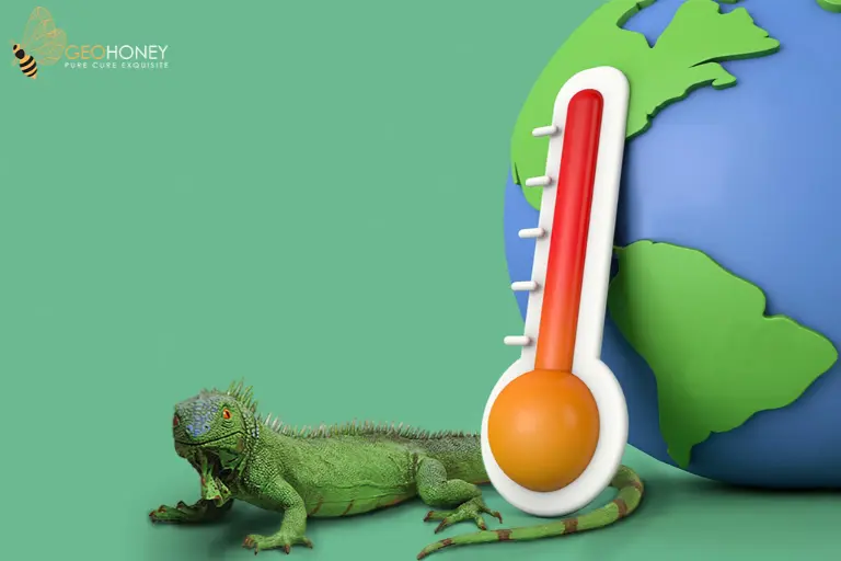 Rising Global Temperatures Lead To The Reptile Population Explosion